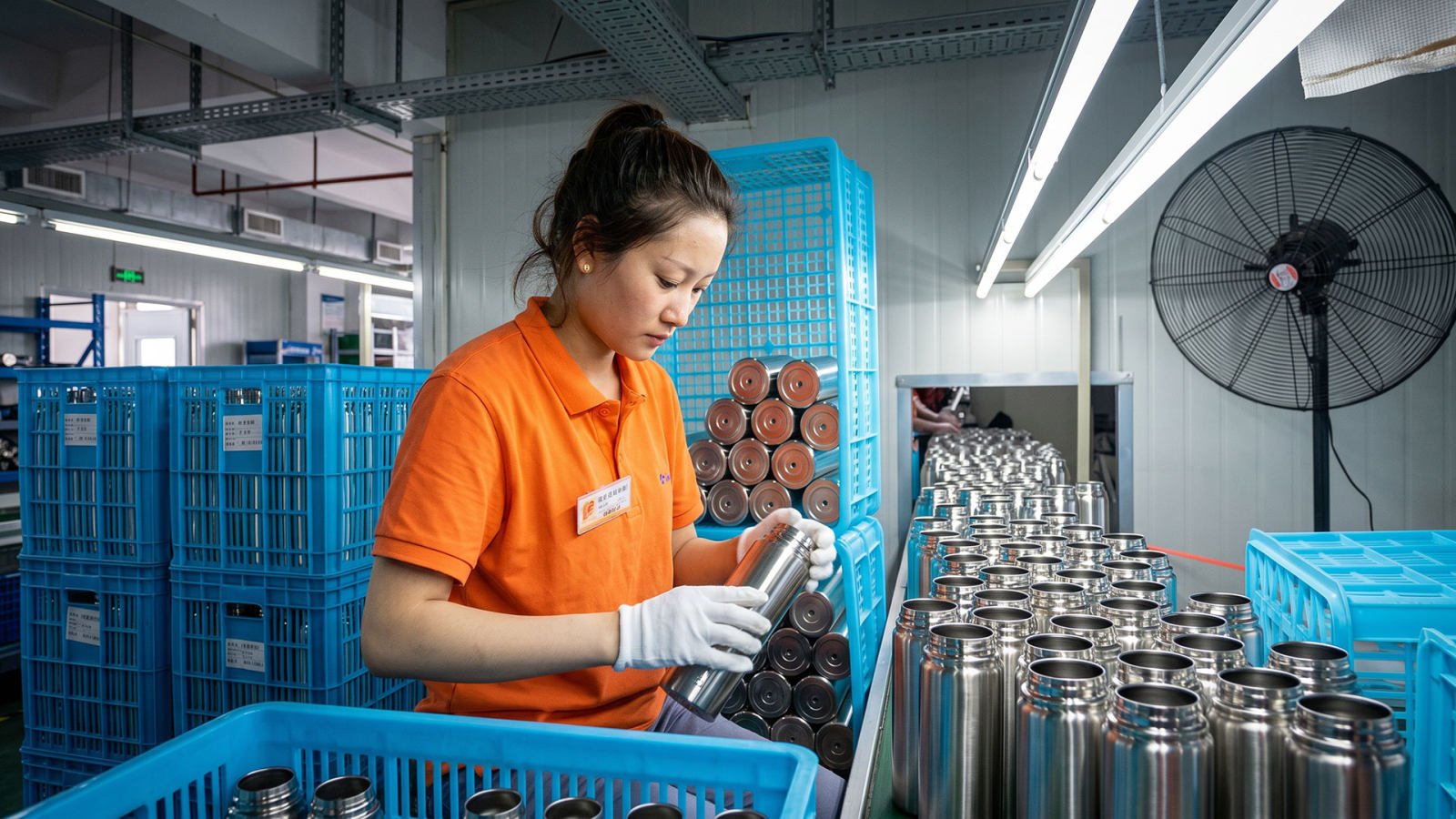 Quality inspector checking a stainless steel drinkware surface